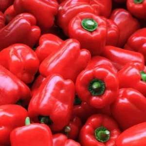 Bell Peppers