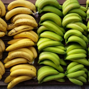 Cavendish Banana
