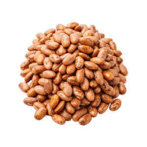 Pinto Beans